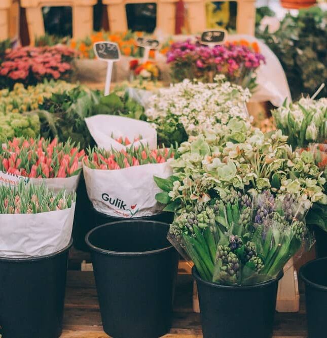 Florists-min Florists-min