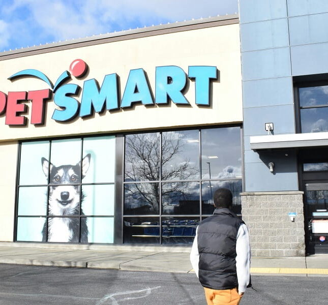 pet stores-min pet stores-min