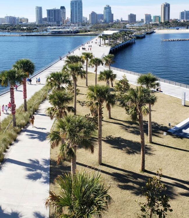 St. Petersburg FL Skyline View