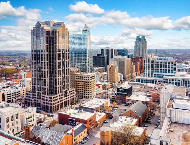 Raleigh Downtown View