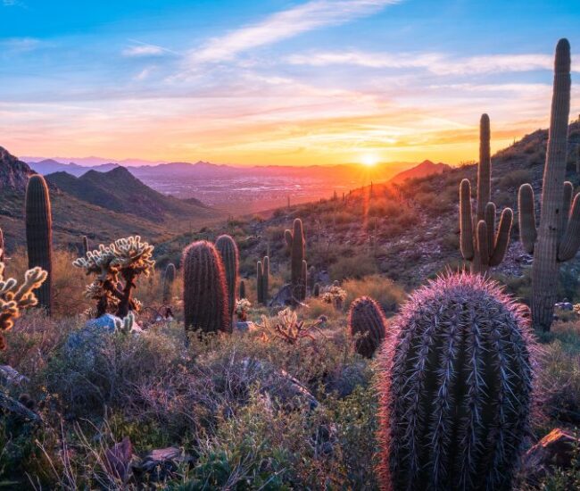 Tucson AZ Sunset