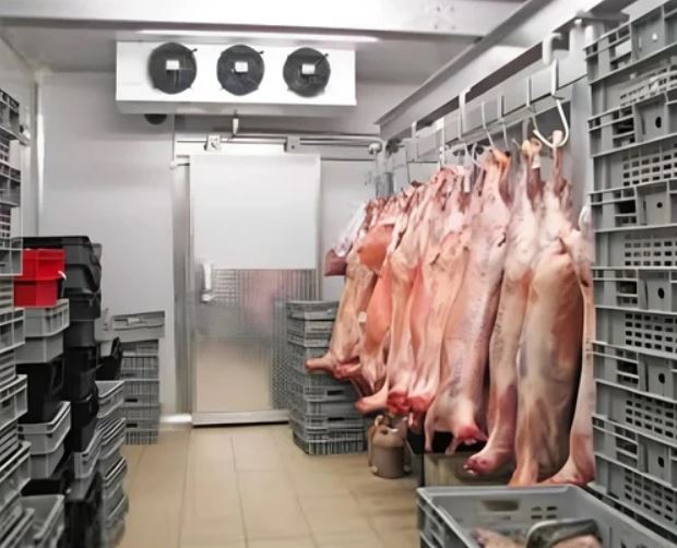 Meat Cold Storage